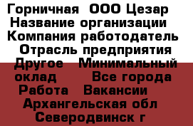 Горничная. ООО Цезар › Название организации ­ Компания-работодатель › Отрасль предприятия ­ Другое › Минимальный оклад ­ 1 - Все города Работа » Вакансии   . Архангельская обл.,Северодвинск г.